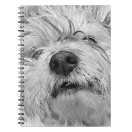 Caderno Espiral Coton de Tulear dog