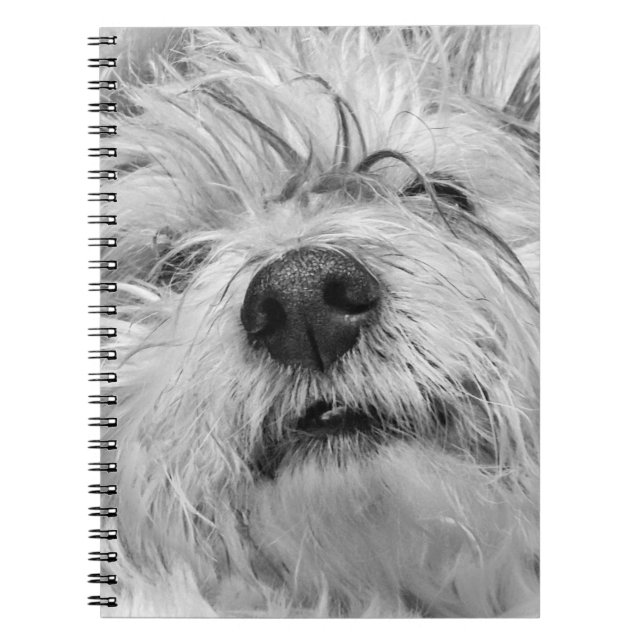 Caderno Espiral Coton de Tulear dog (Frente)