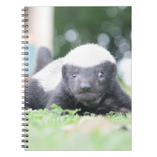 Caderno Espiral Crachá de mel de bebê em fotografia de grama verde