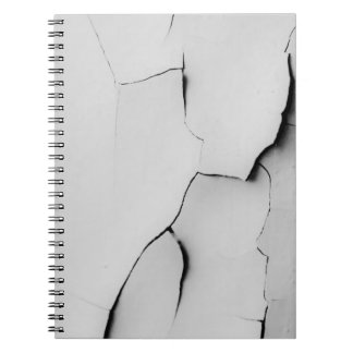Caderno Espiral Crachado