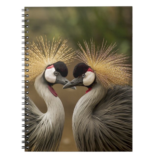 Caderno Espiral Crane Coroa cinza (Frente)