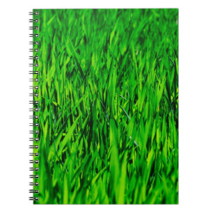 Caderno Espiral Crescimento do campo de erva