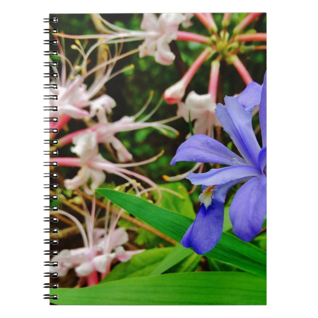 Caderno Espiral Crested Dwarf Iris (Frente)