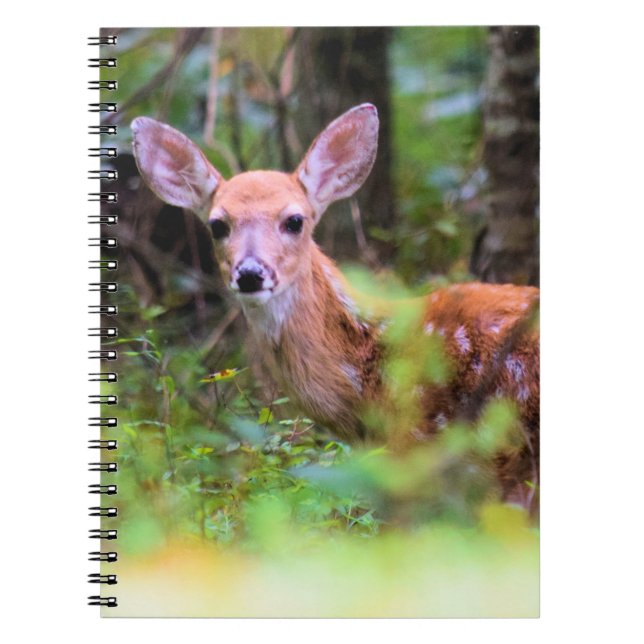 Caderno Espiral Criado na floresta - Peek-a-boo - Notebook (Frente)