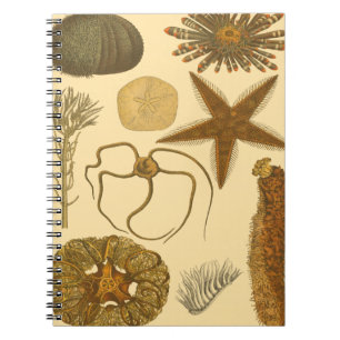 Caderno Espiral Criaturas do Mar Subaquático