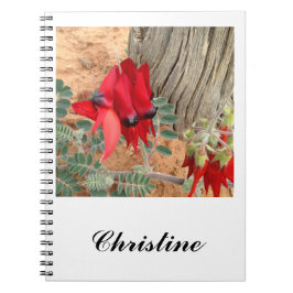 Caderno Espiral Crie seu notebook Sturt's Desert Pea