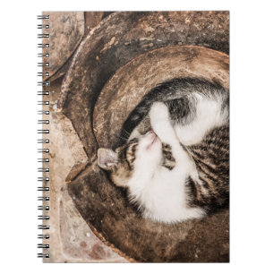 Caderno Espiral Crie seu próprio - Cat Nap