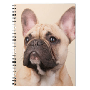 Caderno Espiral Crie Sua Própria Foto Personalizada de Animal de E