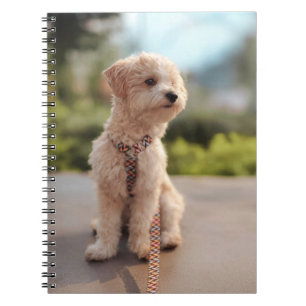 Caderno Espiral Crie Sua Própria Foto Personalizada de Animal de E
