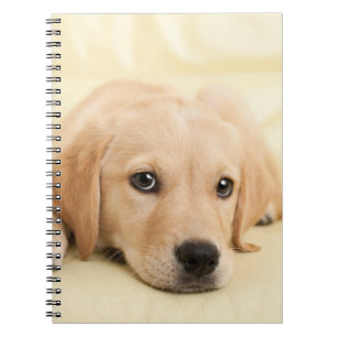 Caderno Espiral Crie sua própria foto personalizada de animal de e