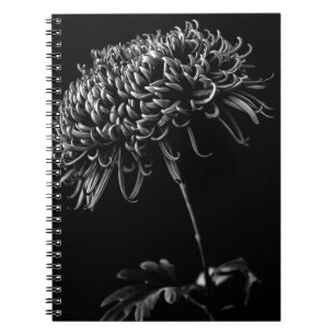 Caderno Espiral Crisântemo