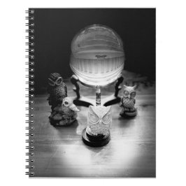 Caderno Espiral Cristal Ball e Corujas Ornamentais