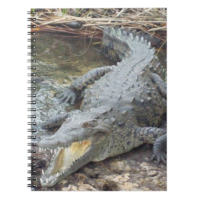 Caderno Espiral Crocodilo de Água Salgada jamaicano (Frente)
