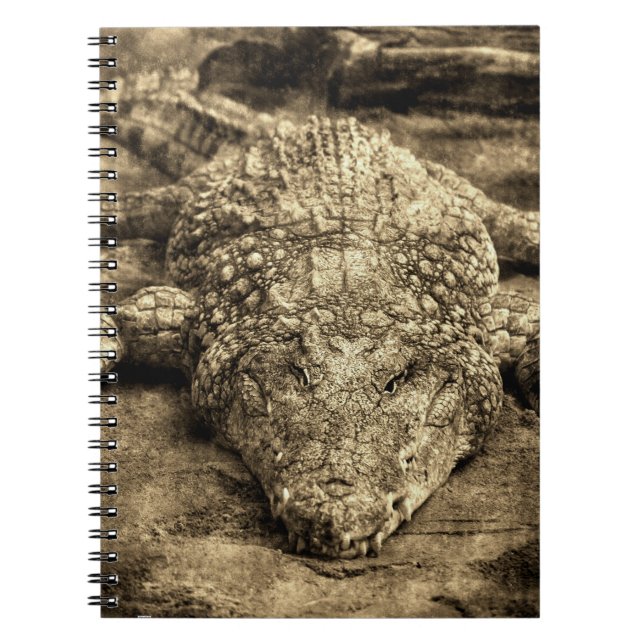 Caderno Espiral Crocodilo Vintage (Frente)