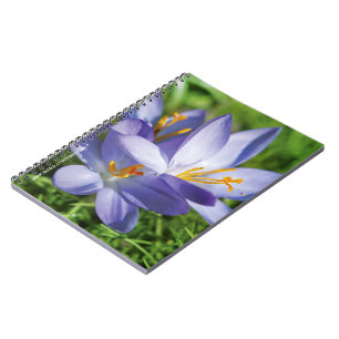 Caderno Espiral Crocus