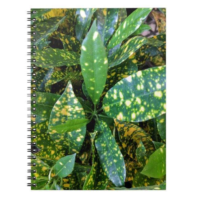 Caderno Espiral Croton Plant (Frente)