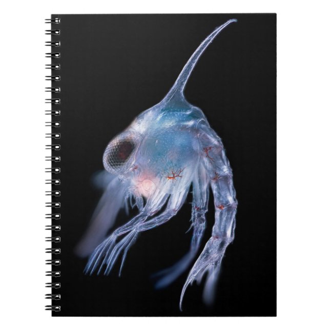Caderno Espiral Crustáceo Planktonic (Frente)