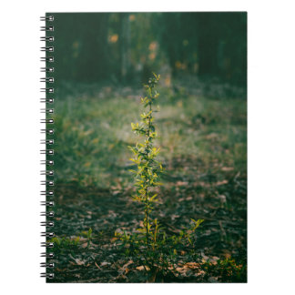 Caderno Espiral Cuaderno con fotografía de naturaleza
