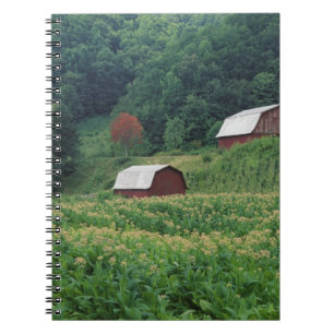 Caderno Espiral Cultura de tabaco e par de celeiros de tabaco verm