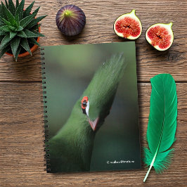 Caderno Espiral Curiosa Guiné Turaco Green Pássaro