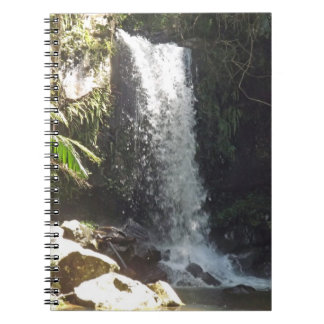 Caderno Espiral Curtis Falls