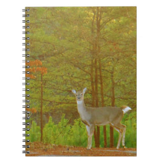 Caderno Espiral Customize Product