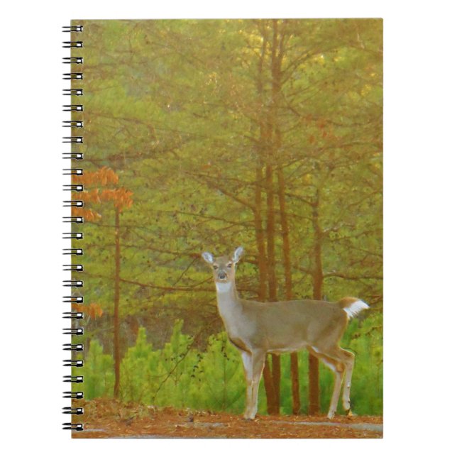 Caderno Espiral Customize Product (Frente)