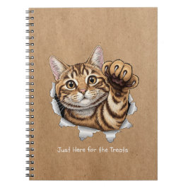 Caderno Espiral Cute Cat Notes - Spiral Photo Notebook
