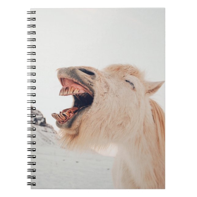 CADERNO ESPIRAL CUTE LLAMA ALPACA LAUGHING (Frente)