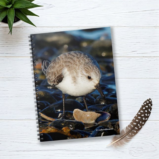 Caderno Espiral Cute Sanderling Dines on Clam at Beach (Cute Sanderling Dines on Clam Journal Cover Photo)