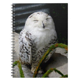 Caderno Espiral Cute Snowy Owl