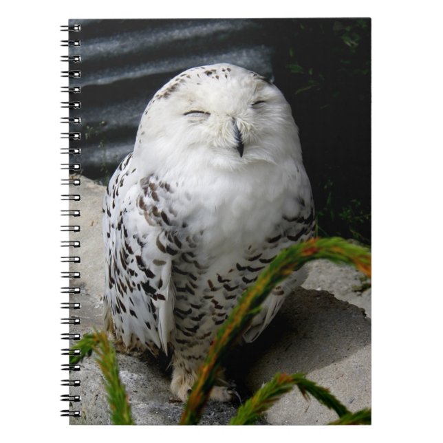 Caderno Espiral Cute Snowy Owl (Frente)