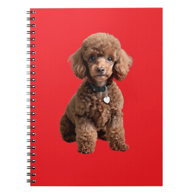Caderno Espiral  Cute Teacup Poodle (Frente)