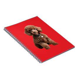 Caderno Espiral  Cute Teacup Poodle Red Folder