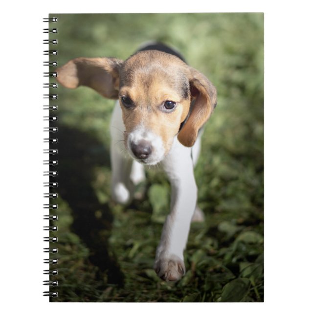 Caderno Espiral Cutest Baby Animals | Beagle Puppy (Frente)
