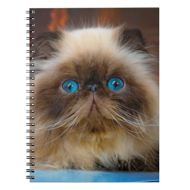 Caderno Espiral Cutest Baby Animals | Himalayan Cat (Frente)