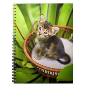 Caderno Espiral Cutest Baby Animals Kitten in Basket