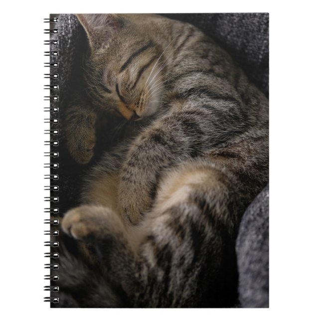 Caderno Espiral Cutest Baby Animals | Sleeping Tabby Cat (Frente)