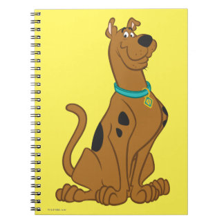 Caderno Espiral Cutro De Scooby-Doo Que Bonito