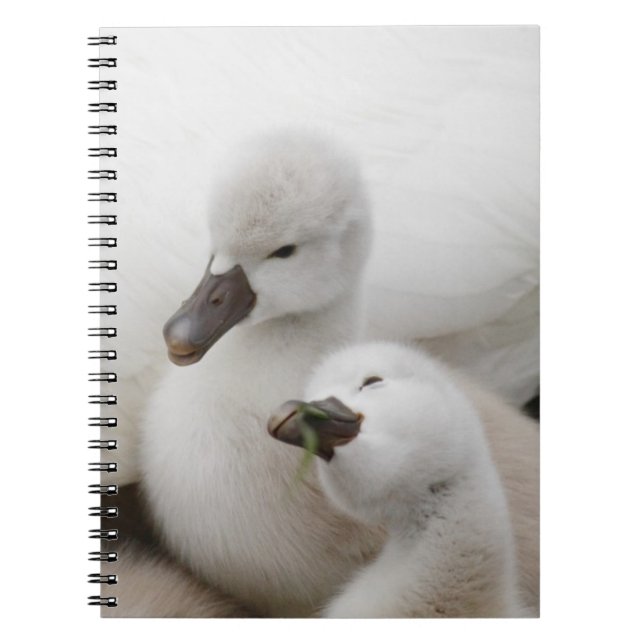 Caderno Espiral Cygnets da cisne muda (Frente)