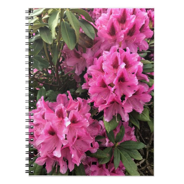 Caderno Espiral Cynthia Rhododendrons, Oregon (Frente)