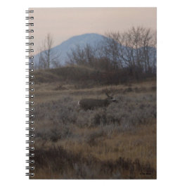 Caderno Espiral D12 Mule Deer Buck e Colinas de grama doce