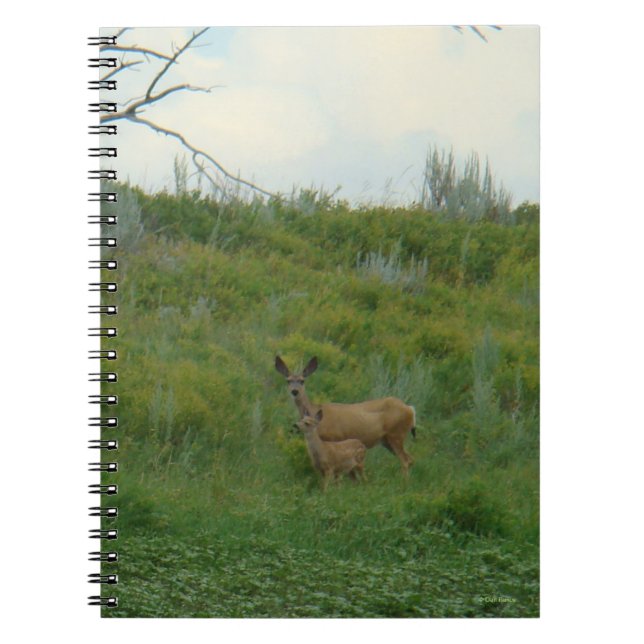 Caderno Espiral D5 Mula Cerva Fêmea e Filhote (Frente)