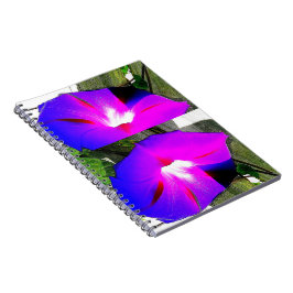 Caderno espiral da flor roxa da corriola