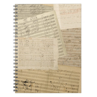 Caderno espiral da mistura do manuscrito de