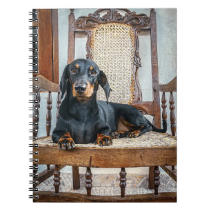 Caderno Espiral Dachshund