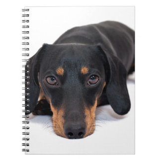 Caderno Espiral Dachshund pequeno