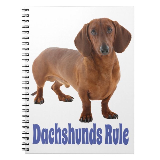 Caderno Espiral Dachshund Puppy Cão Azul Amor (Frente)