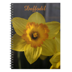 Caderno Espiral Daffodil Amarelo