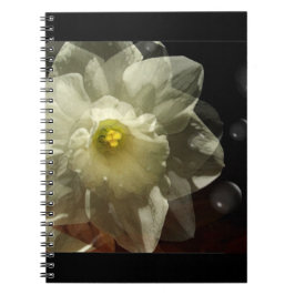 Caderno Espiral Daffodil Dreams